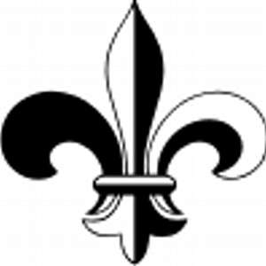Emergency Road Service Inc - Logo