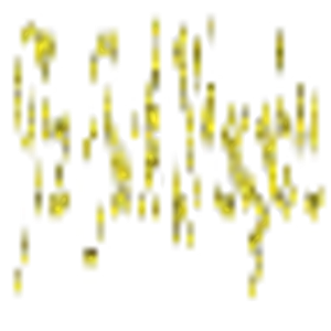 The Junk Wranglers - Logo