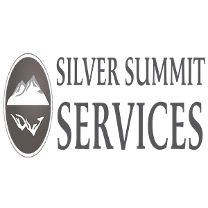 Silver Summit Services - Logo