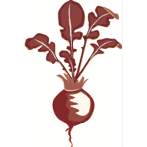 Sheepscot General Store and Farm - Logo