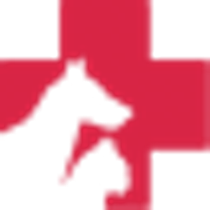 American Pet Hospital