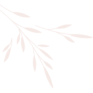 Palace Med Spa - Logo
