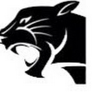 Panther Security and Investigations - Logo