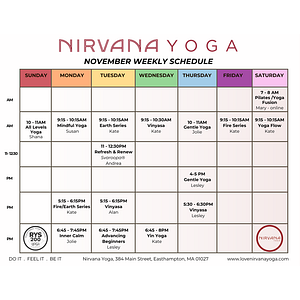 Nirvana Yoga - Logo