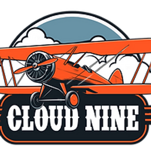 Cloud Nine Roofing and Renovation
