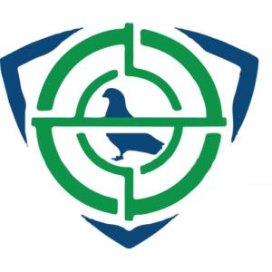 Raptor Pest Solutions