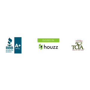 Sage Tree Experts - Logo