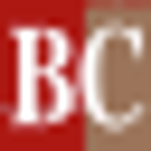 Bayou City Bail Bonds - Logo