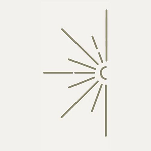 Healing St. Louis Chiropractic - Logo