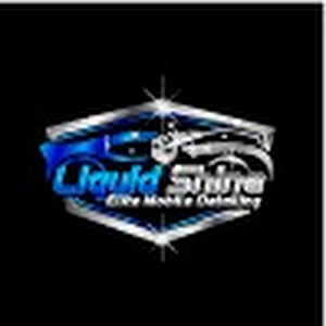 Liquid Shine Elite Mobile Detailing - Logo