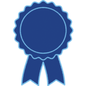 Blue Ribbon Chiropractic LLC