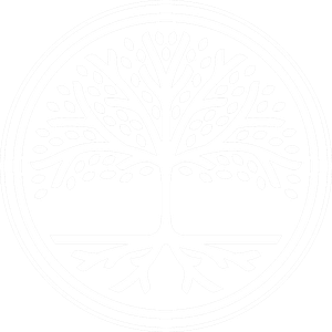 Veritas Medical - Logo