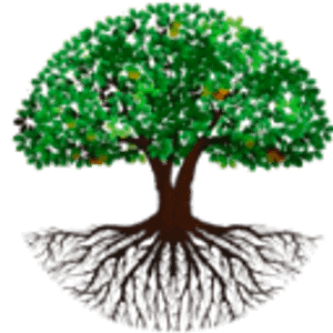 OS Tree Service