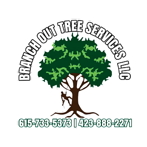 Branch Out Tree Services LLC