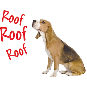 TipTop Roofing & Construction