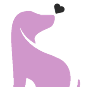 Kismet K9 Pet Spa - Logo