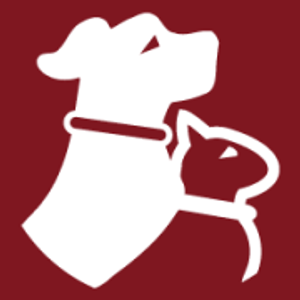 Misty's Pet Depot