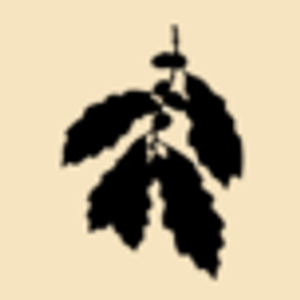 Chinkapin Brewing - Logo
