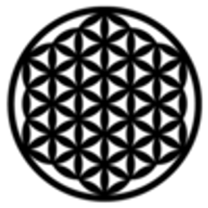 The Shaman NYC - Logo