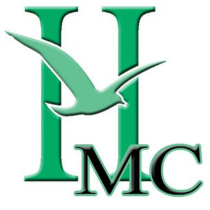 Hometown News - Logo