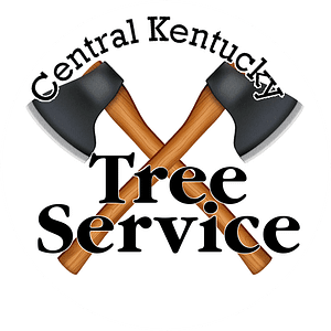 Central Ky Tree Service
