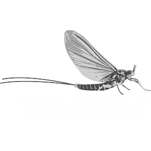 West Branch Angler & Resort