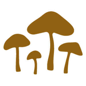 Psanctuary