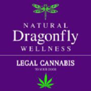 Natural Dragonfly Wellness - Logo
