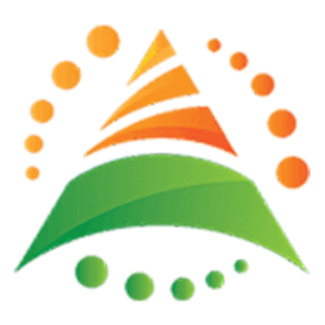 Allegiant Service Group - Logo