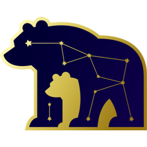 Ursa Security & Control - Logo