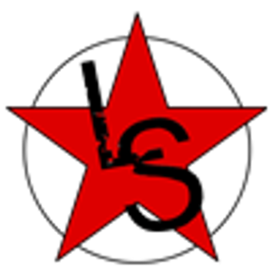Lone Star Surface Pros - Logo