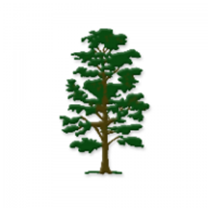 Couch Tree Service - Logo