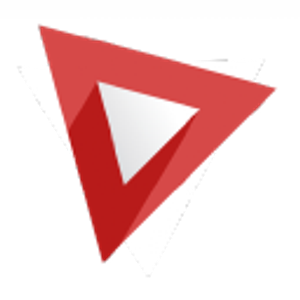 Dunedin Roofing Inc. - Logo