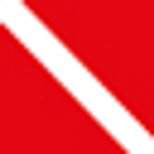 Captain's Corner Dive Center - Logo