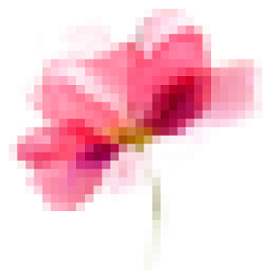 Wild Flower Healing Arts _ Pamela Sabin_Massage Iowa City - Logo