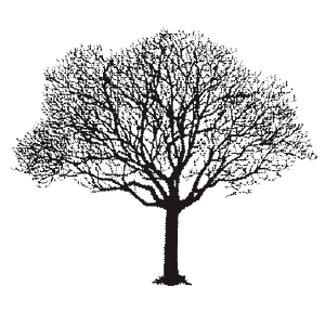 Bradley Tree Works