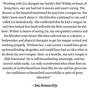 Lactation Liz - Logo