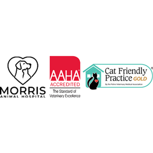 Morris Animal Hospital