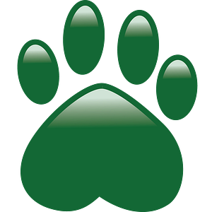 Happy Dogs Play and Stay