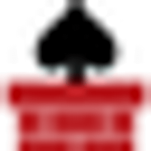 Ace Chimney Sweep - Logo