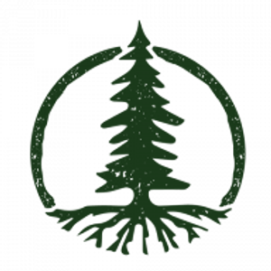 The Link Cannabis Company- Port Angeles - Logo