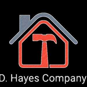 D. Hayes Company LLC - Logo