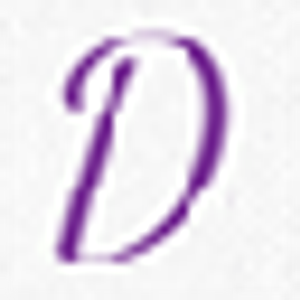 Designer Silk Gallery - Logo