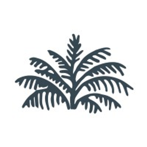 Palmetto Running Company Hilton Head Island - Logo