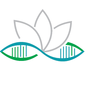 Vita-Health Acupuncture & Regenerative Wellness Center - Logo