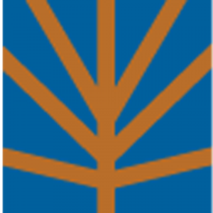 Irontree Construction Inc