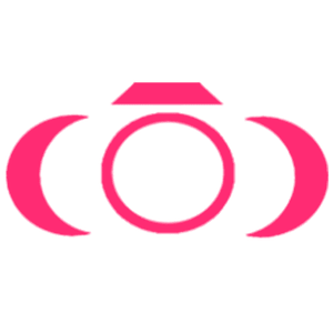 Caselove Productions - Logo