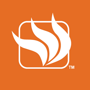 Woodland Direct - Fireplace Showroom