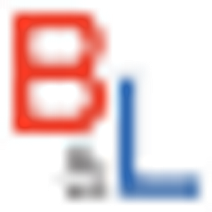 B&L Janitorial Carpet Cleaning - Logo