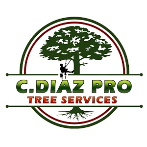 C.Diaz Pro Tree Services - Tree service in Dallas